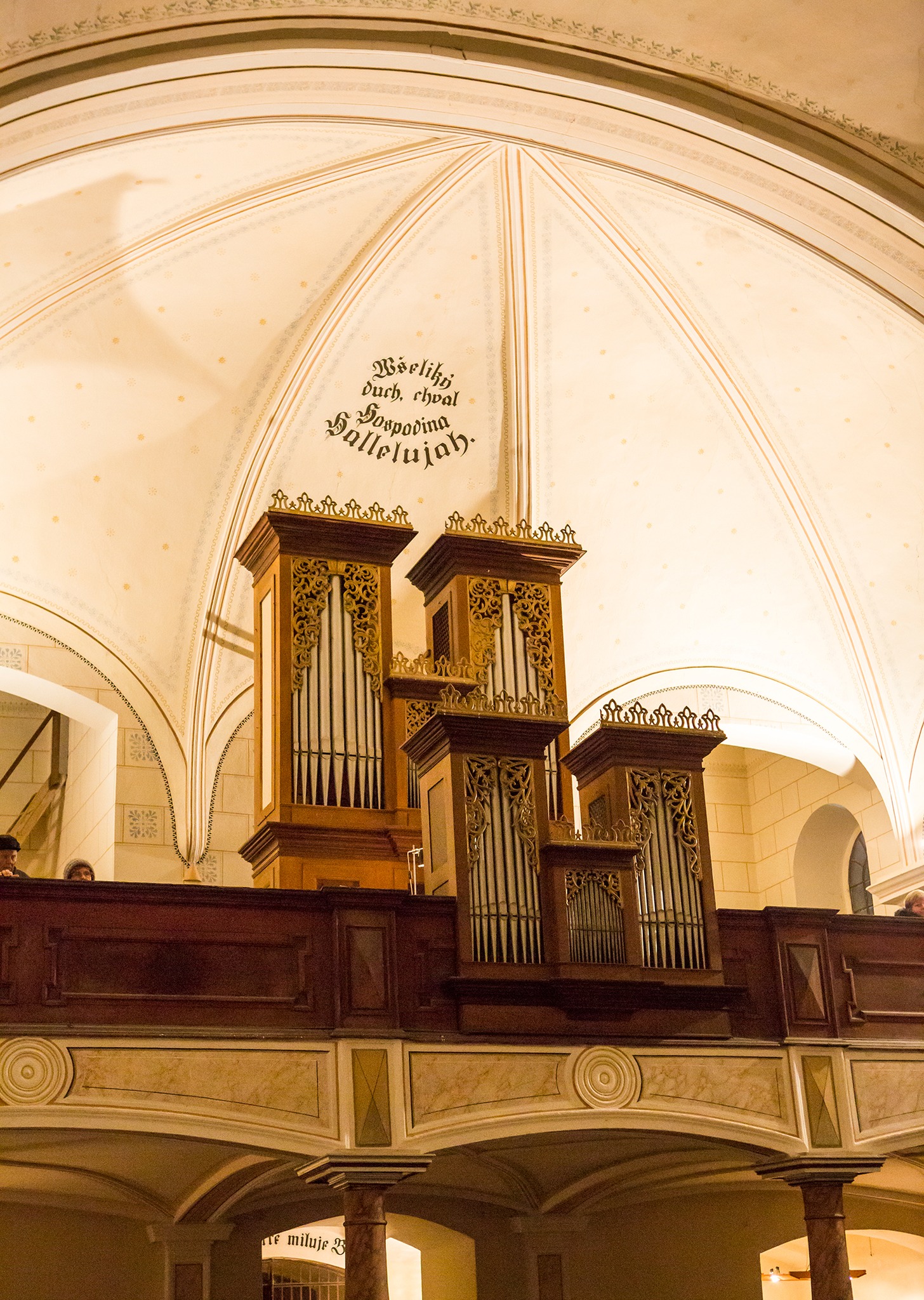 594458126_1275010904663046_6556684246160607369_n